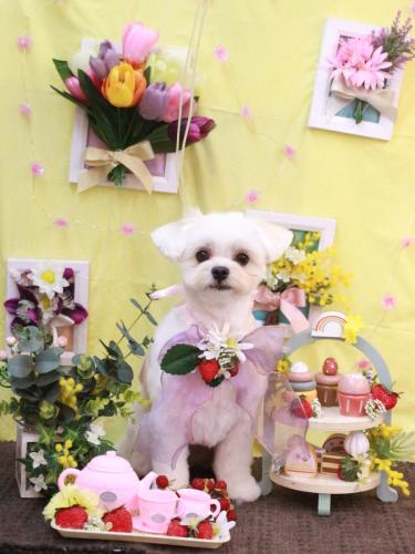 20230323うるちゃん